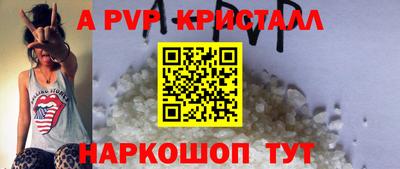 бошки Дубна