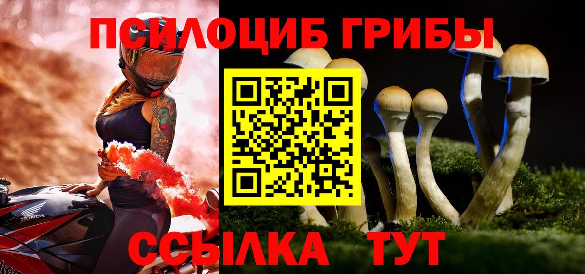 Зеленокумск  магазин  наркотиков  Псилоцибиновые грибы прущие грибы  Вход с VPN  Галлюциногенные грибы MAGIC MUSHROOMS 